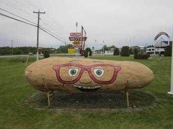 Travelodge By Wyndham Motel Grand Falls